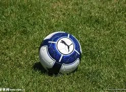 沐川文旅破,圈新篇章,校地合作推,星空体育平台,星空体育官方网站,星空体育登录入口,星空体育app下载