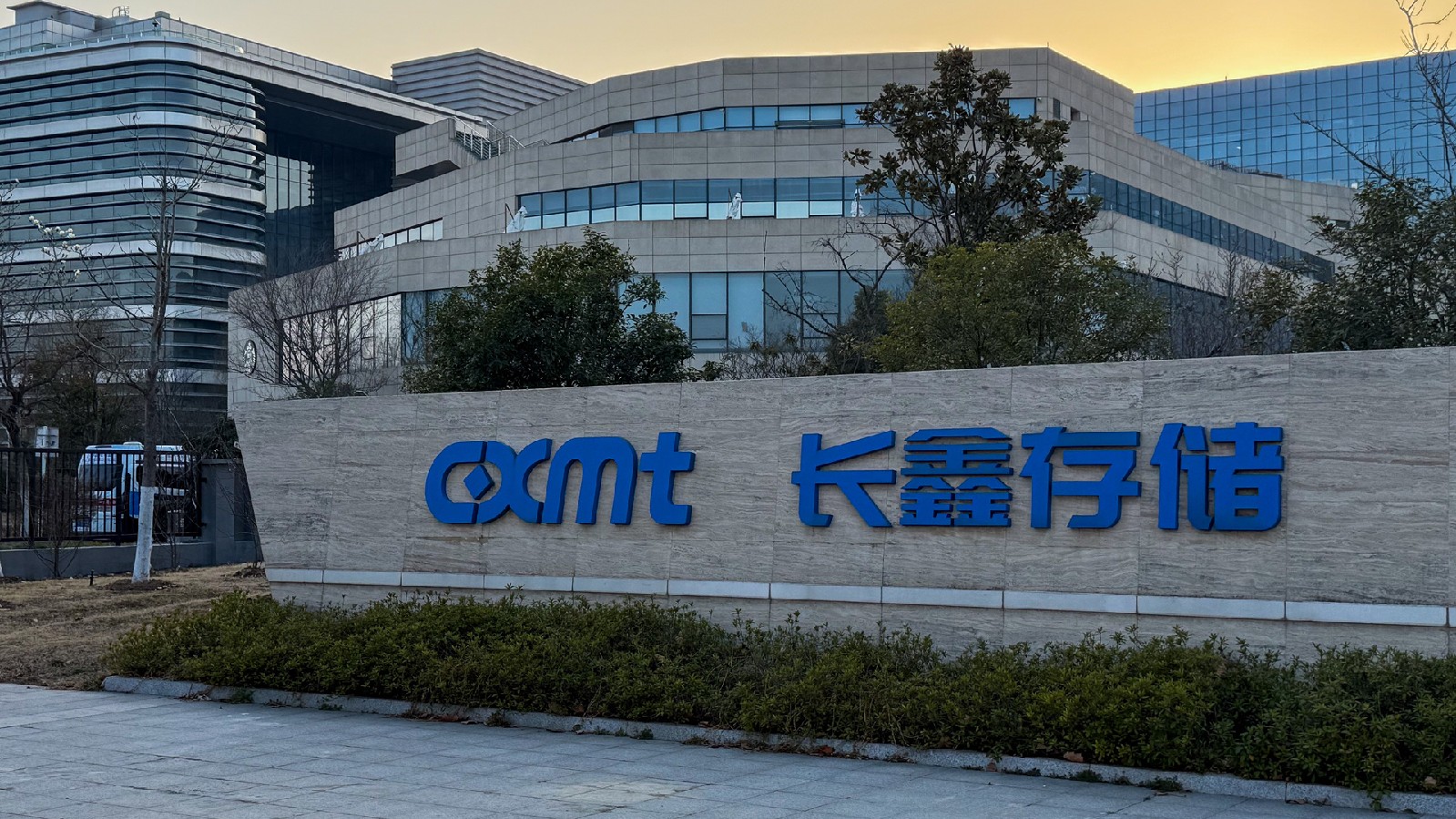 波多黎各女篮对决比利时：世女杯赛事深度解析
