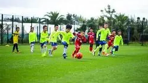 星空体育 资讯 131228 pnx