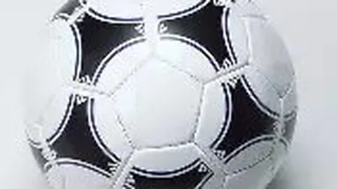 “B费本赛季进球数达29，创个人近三个赛季最佳纪录。”